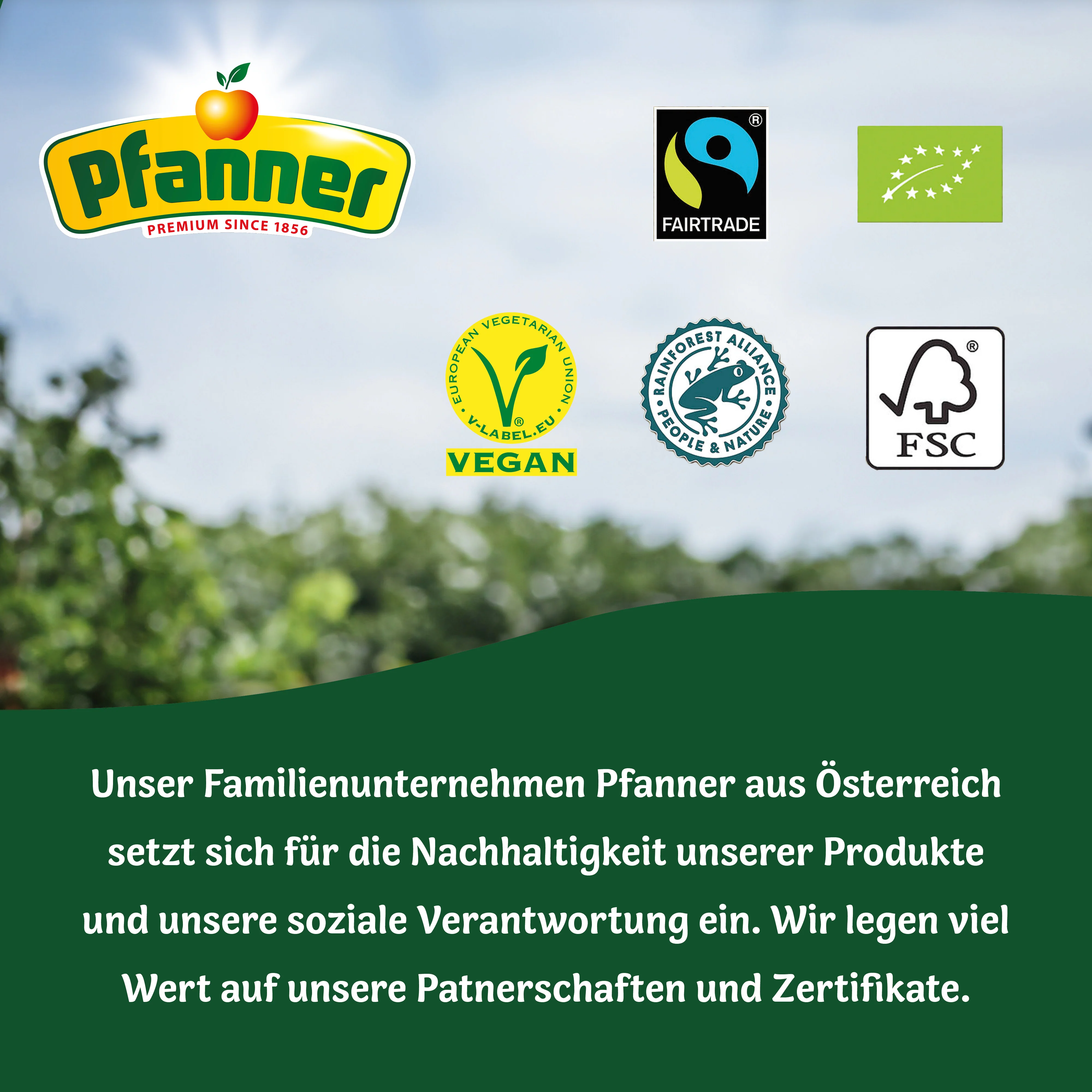 Vorschaubild 7